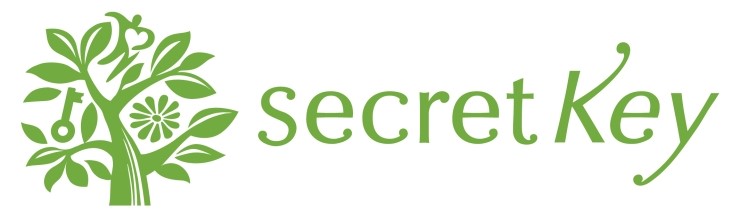 Kết quả hình ảnh cho secret key